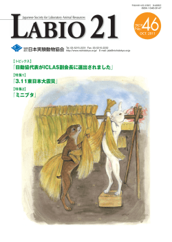 LABIO21 No.46（PDF）