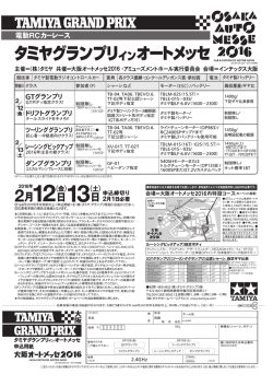 12 電動RCカーレース