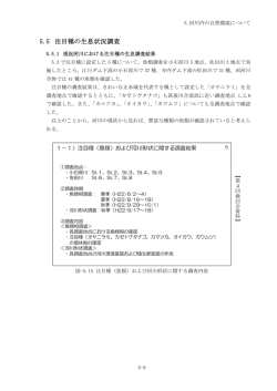 河川内の自然環境について