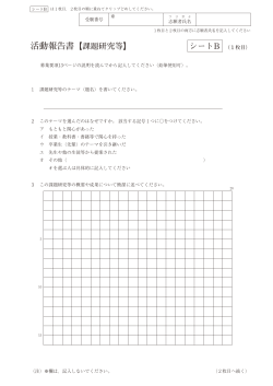 (活動報告書シートB)（PDFファイル 392KB）