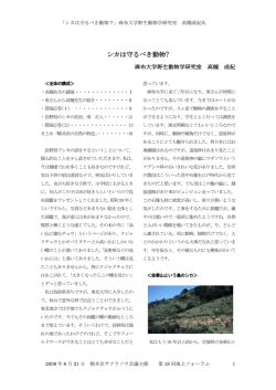 こちらからダウンロード - 軽井沢サクラソウ会議