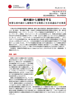 紫外線から植物を守る