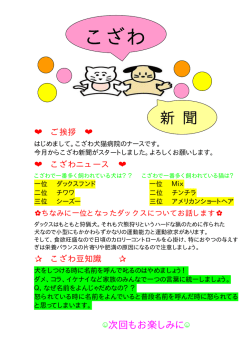 こざわ犬猫病院