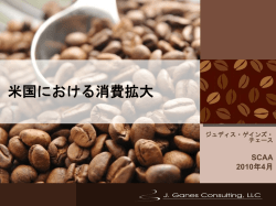 米国における消費拡大（PDF）