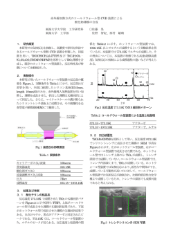 Int 赤外線加熱方式のコールドウォール型 CVD 装置による 酸化物薄膜