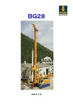 Technische Daten Technical Data BG 12V