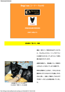 2007 年10月の日記