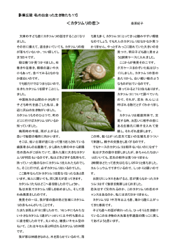 ＜カタツムリの恋＞