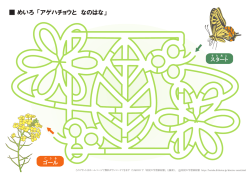 アゲハチョウと菜の花