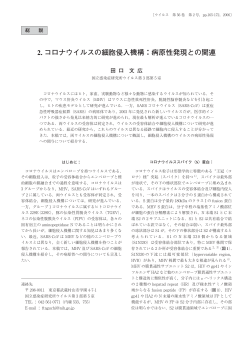 2. コロナウイルスの細胞侵入機構：病原性発現との関連