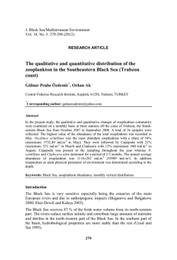 BURST 【送料無料】【新作】Saint Laurent サンローラン ヴィンテージ