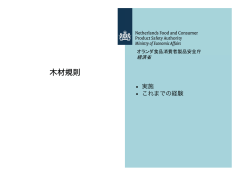 Meriam Wortel JP.pptx