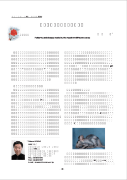 波が生み出す動物の模様と形