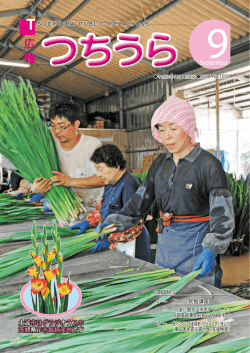CONTENTS 土浦市はグラジオラスの 茨城県花き銘柄産地です
