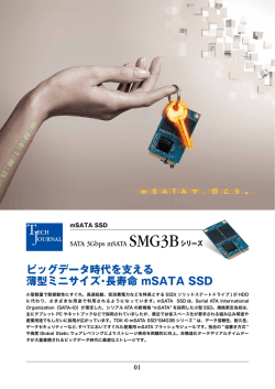 mSATA SSD SATA 3Gbps mSATA SMG3Bシリーズ