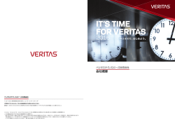 ベリタステクノロジーズ会社概要