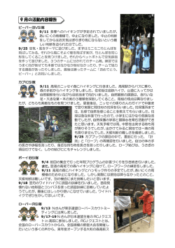 2016年9月 - ボーイスカウト中野8団