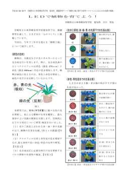 LEDで植物を育てよう！ 《光の三原色（赤・緑・青）の光源下での生長比較》