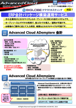 BIGLOBEクラウドホスティング対応 ERP会計パッケージ構築運用サービス
