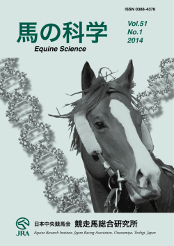 No.1 - Equine Research Institute