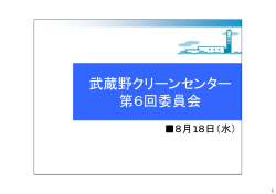 (焼却施設の排ガス処理方式設定) （PDF 288.7KB）
