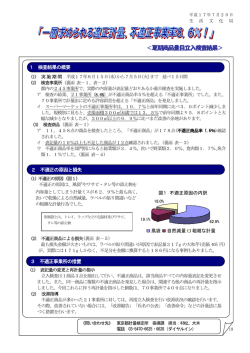 ＜夏期商品量目立入検査結果＞