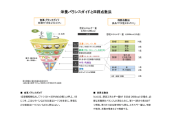 栄養バランスガイドと四群点数法