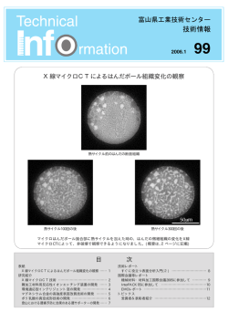 目 次 X線マイクロCTによるはんだボール組織変化の観察