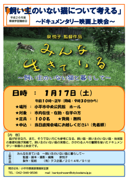 「飼い主のいない猫について考える」