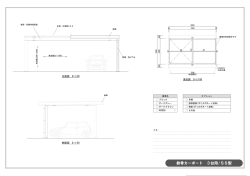 鉄骨カーポート 3台用/SS型