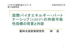 （GBEP）の持続可能 性指標の背景と内容