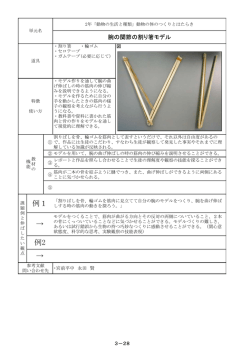 腕の関節の割り箸モデル。