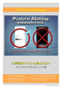 (ケミルミ)検出のコツ