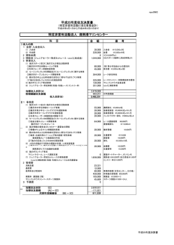 平成25年度収支決算書 特定非営利活動法人 湘南港マリンセンター