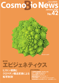 PDFダウンロード