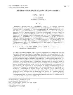 福井県勝山市杉山川流域から発見された白亜紀の針葉樹材化石 論 文