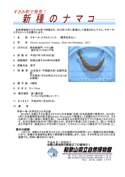 すさみ町で発見！ - 和歌山県立自然博物館