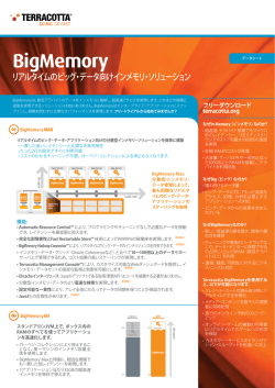 BigMemory - Software AG