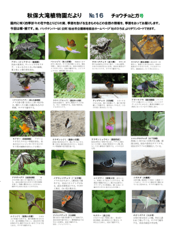 秋保大滝植物園だより №16 チョウチョとガ号