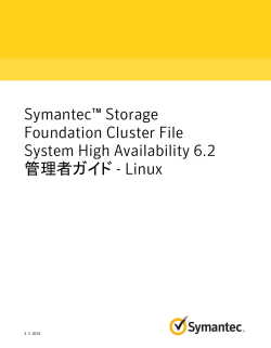Symantec&trade; Storage Foundation Cluster File System High