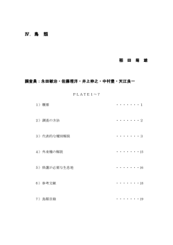 IV.鳥 類 (PDFファイル)