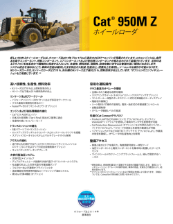 Cat&reg; 950M Z