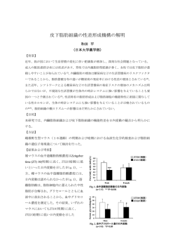 皮下脂肪組織の性差形成機構の解明