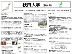 秋田大学 (秋田県)