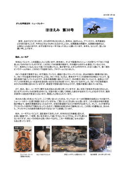 第38号 2014年1月1日発行
