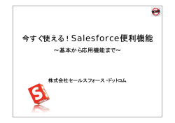 今すぐ使える！Salesforce便利機能 - Salesforce ユーザ向け活用支援