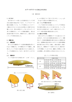 ルアーのアピール力向上のために