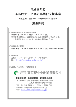 革新的サービスの事業化支援事業