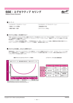 SSE：エグゼクティブ セリング - Wilson Learning Logo