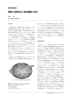 卵胞の初期発達と卵母細胞の発育